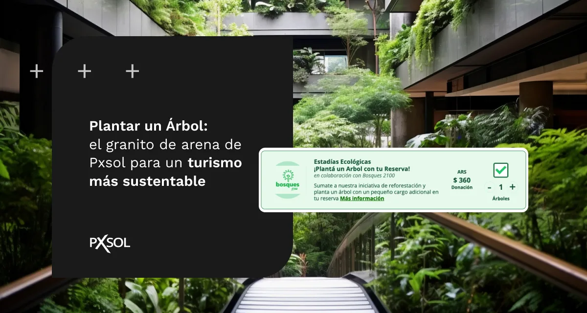 Plantar un Árbol de Pxsol: Un Proyecto Sostenible que Transforma el Futuro de los Viajes