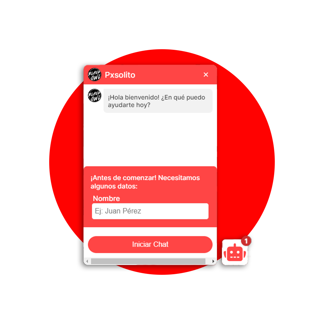Imagen 2-1