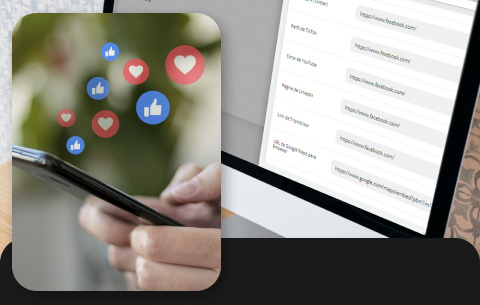 2-URLs de TikTok y YouTube