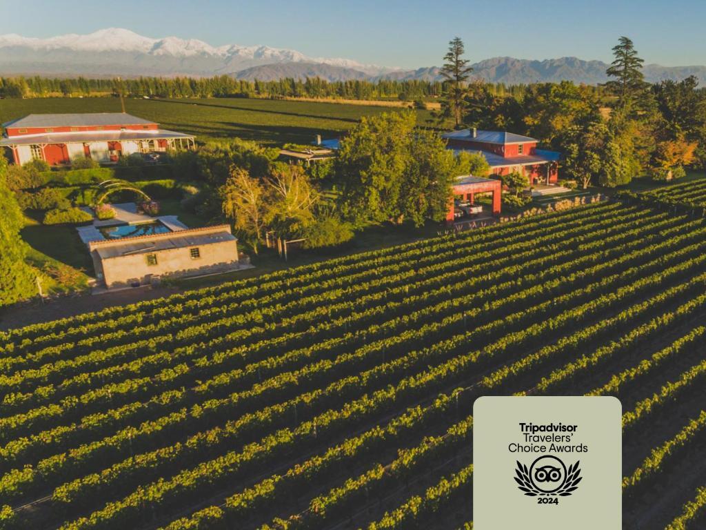 ENLACE WINE HOUSE- EXTERIOR