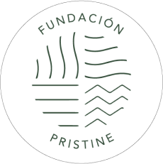 Fundacion Pristine