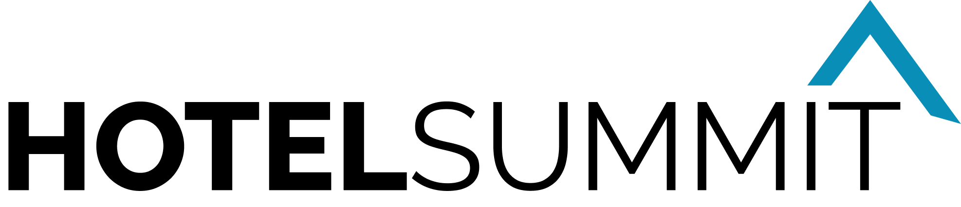 LOGOTIPOHOTELSUMMIT